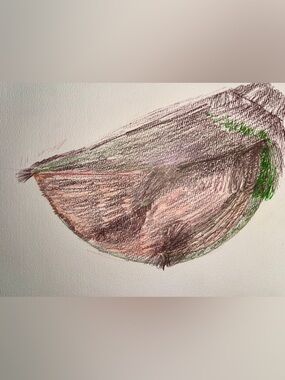 Hand Crafted Brown and Green Abstract Cap Sketch